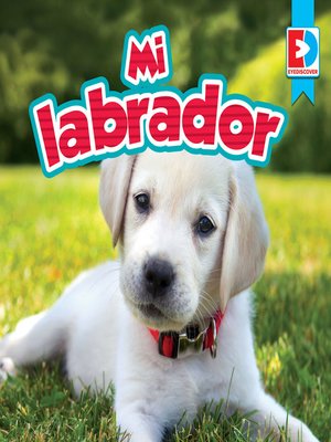 cover image of Mi labrador